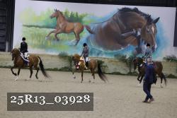 25R13_03928 thumbnail