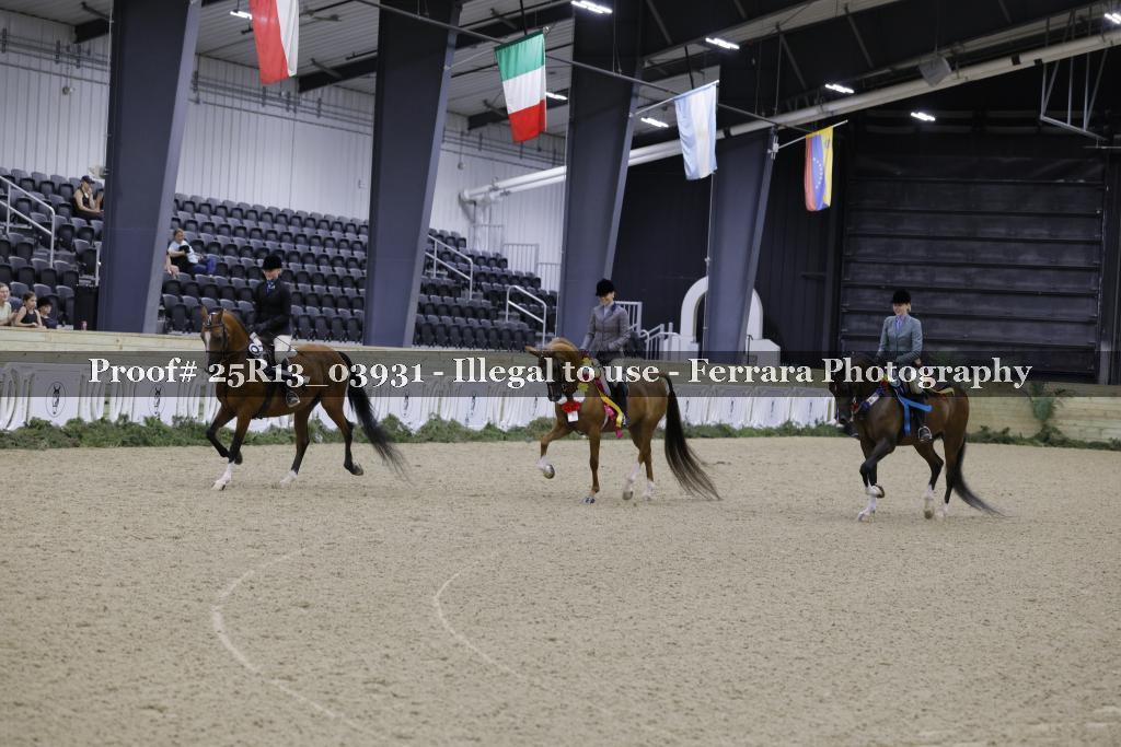 Proof Number 25R13_03931