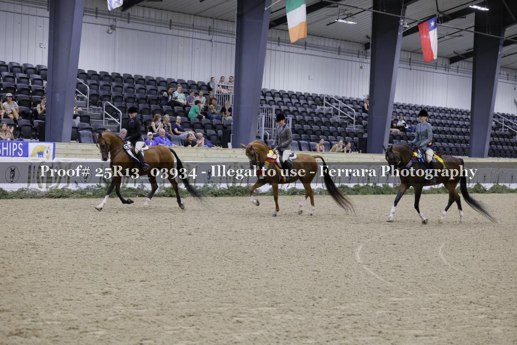 Proof Number 25R13_03934