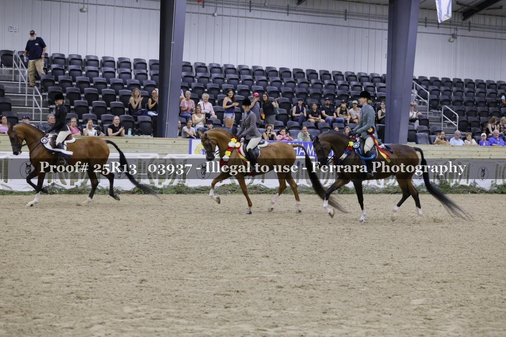 Proof Number 25R13_03937