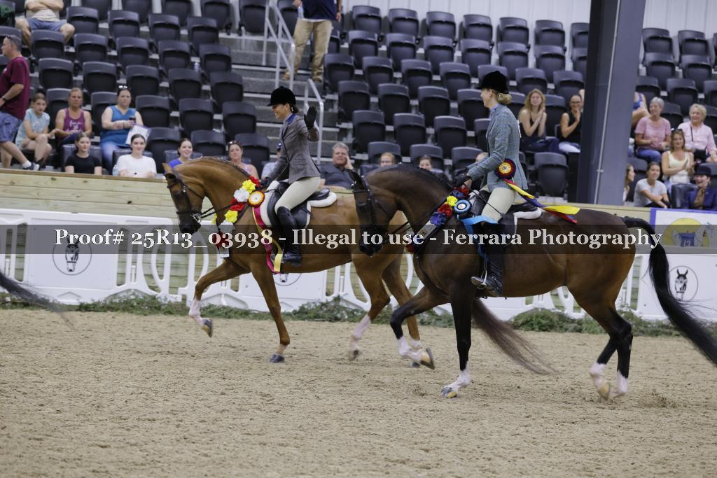 Proof Number 25R13_03938