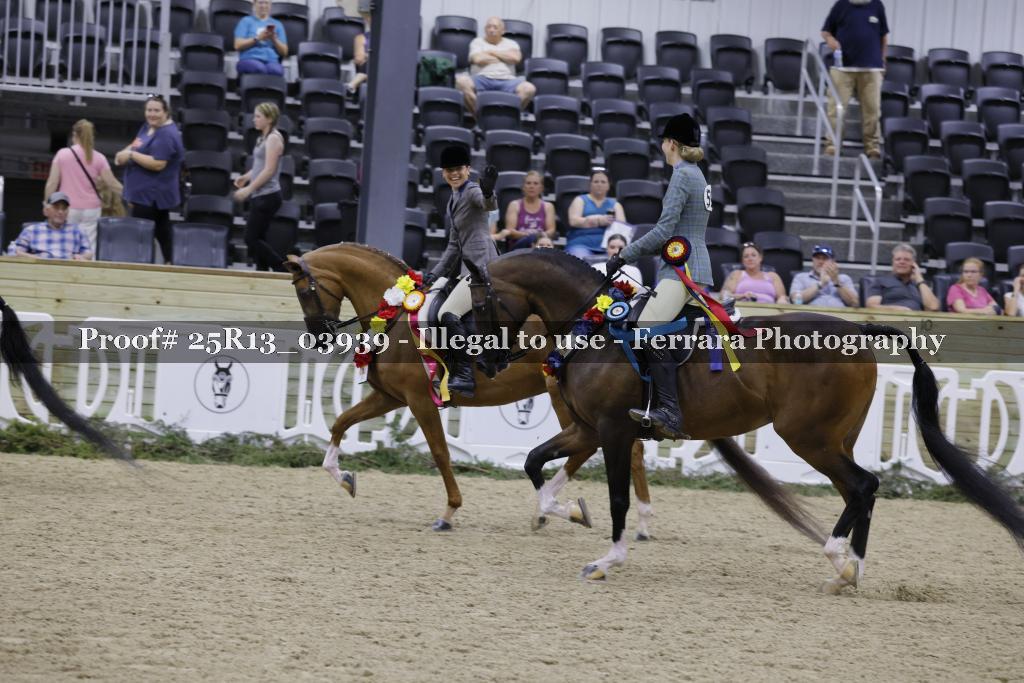 Proof Number 25R13_03939
