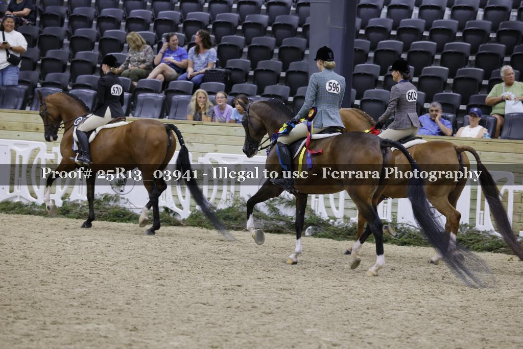 Proof Number 25R13_03941