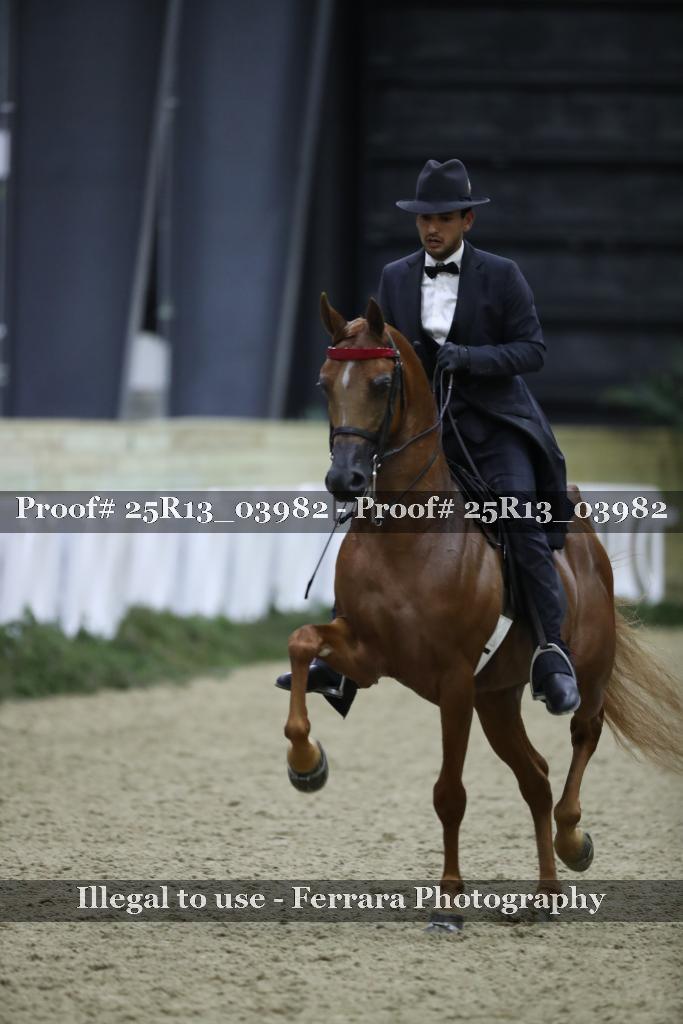 Proof Number 25R13_03982