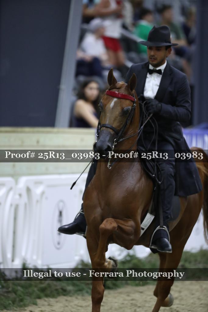 Proof Number 25R13_03983