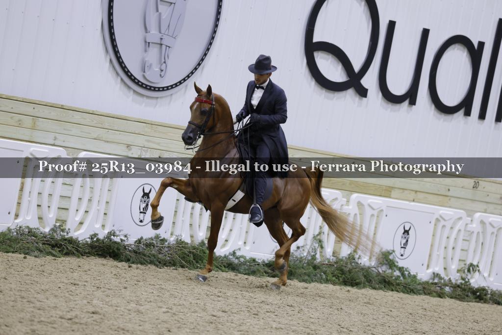 Proof Number 25R13_03984