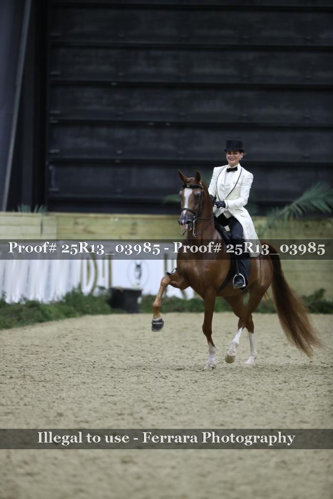 Proof Number 25R13_03985