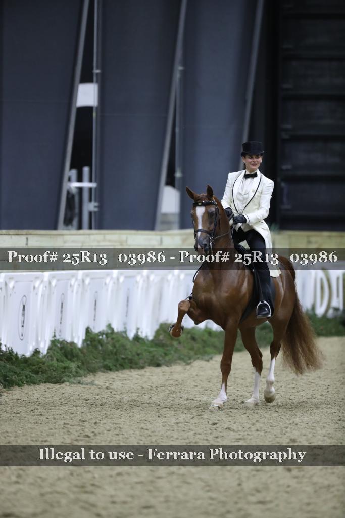 Proof Number 25R13_03986