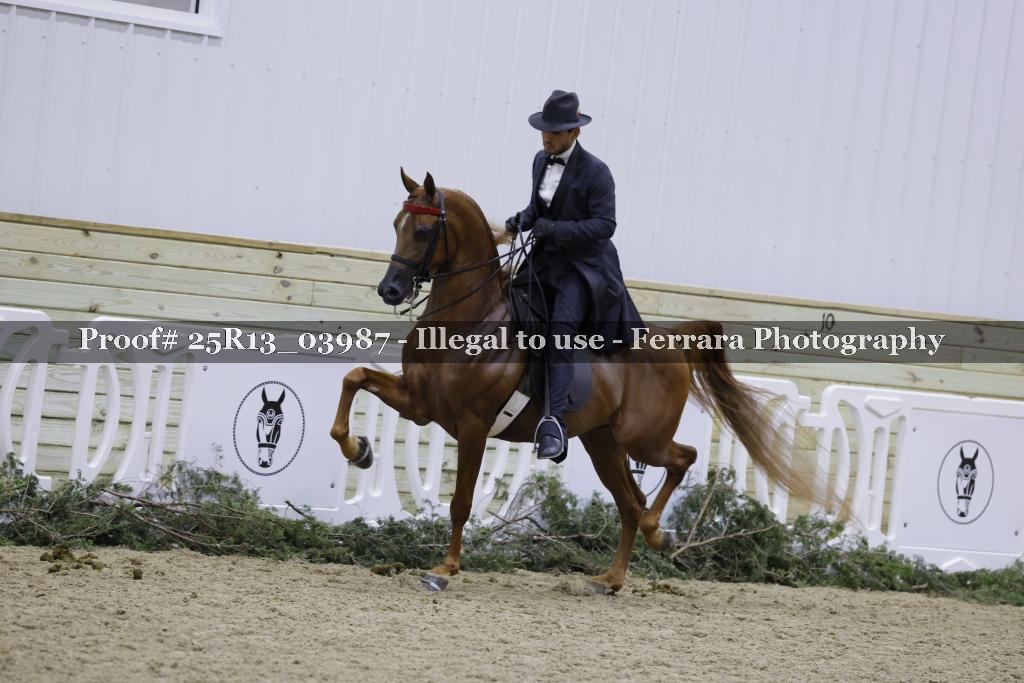 Proof Number 25R13_03987
