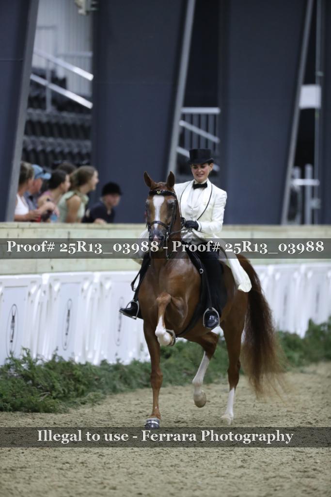 Proof Number 25R13_03988
