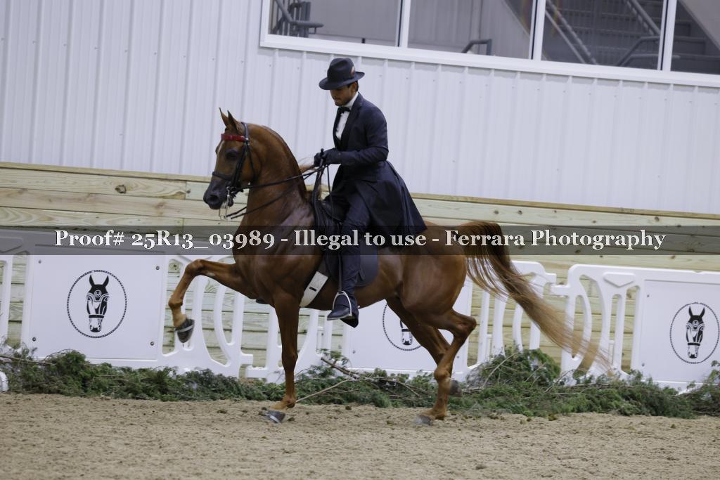 Proof Number 25R13_03989