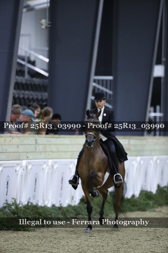 Proof Number 25R13_03990
