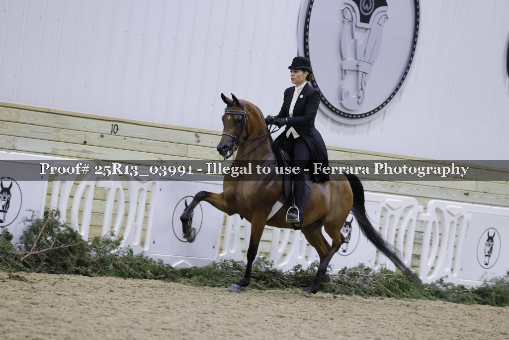 Proof Number 25R13_03991