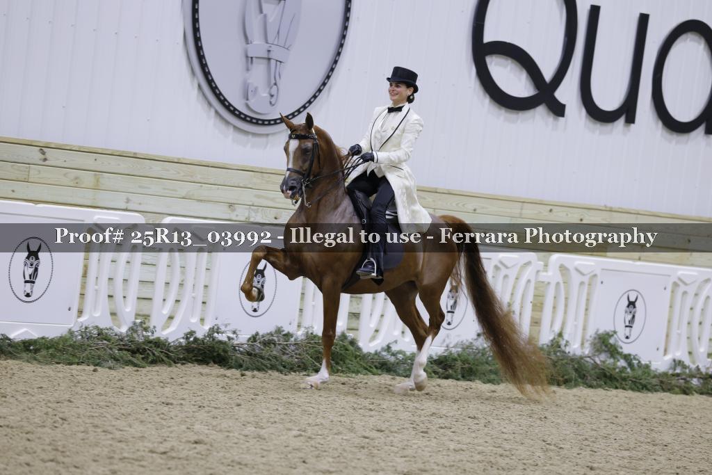 Proof Number 25R13_03992