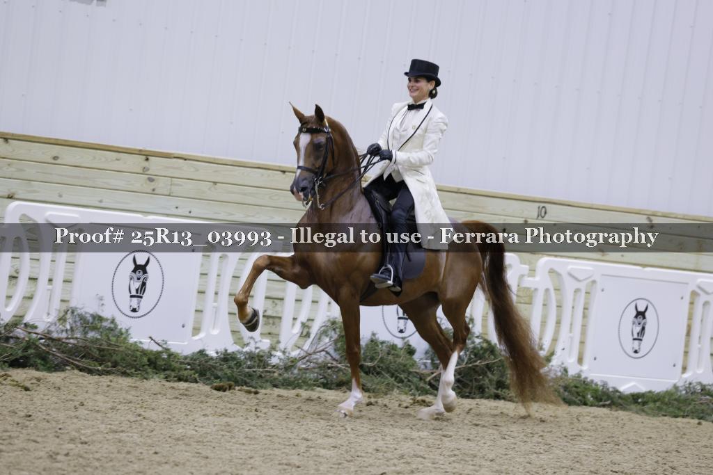 Proof Number 25R13_03993