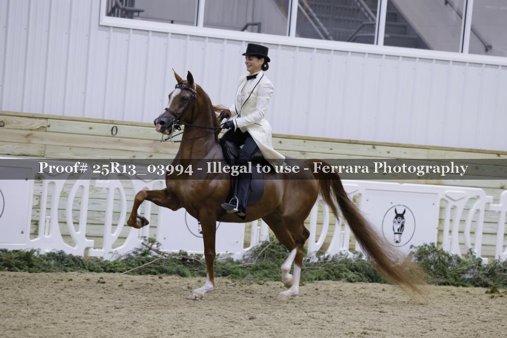 Proof Number 25R13_03994