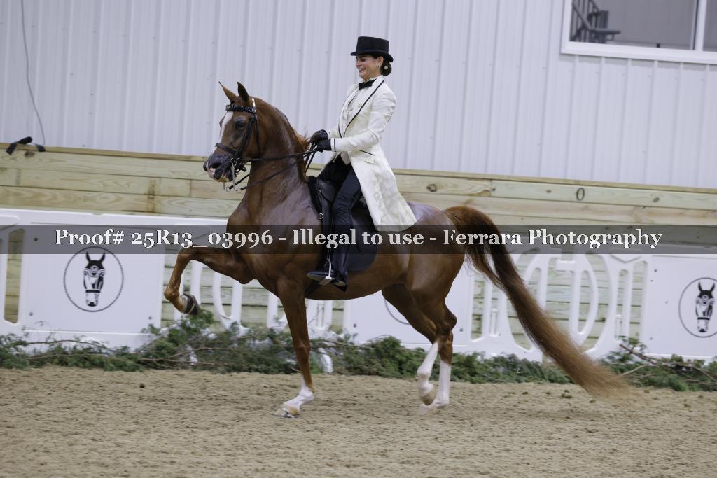 Proof Number 25R13_03996