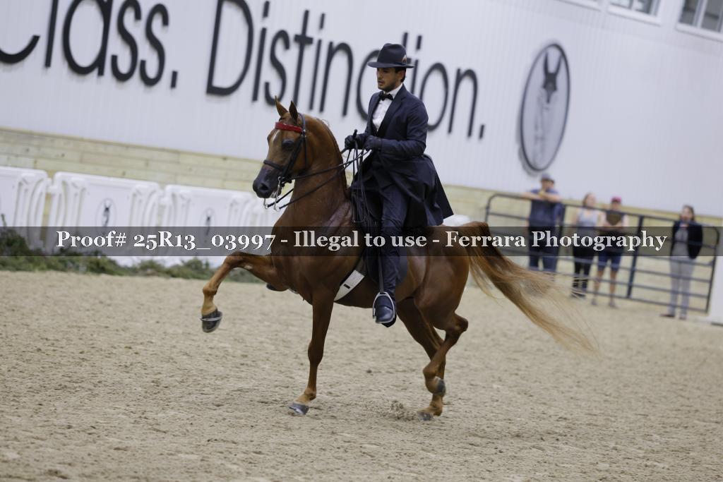 Proof Number 25R13_03997