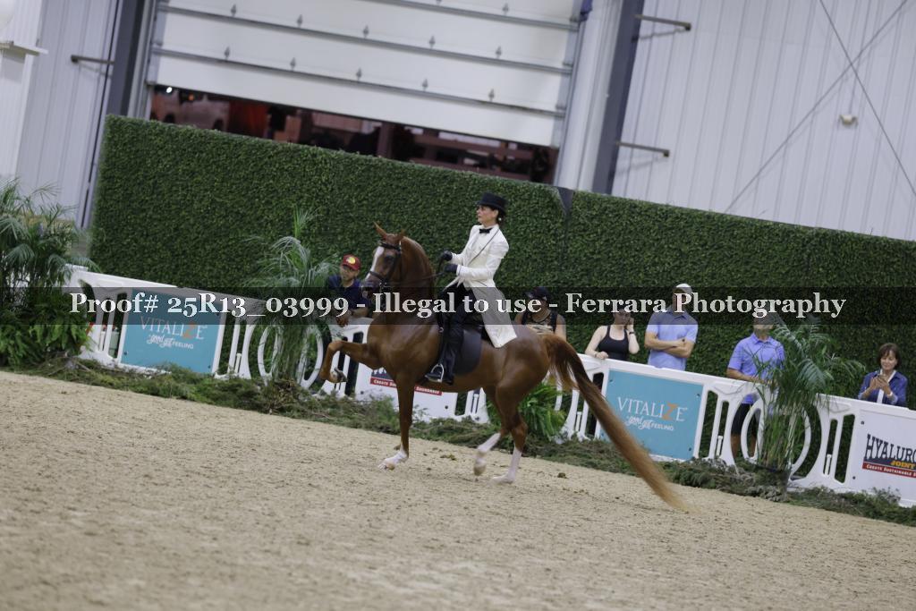 Proof Number 25R13_03999