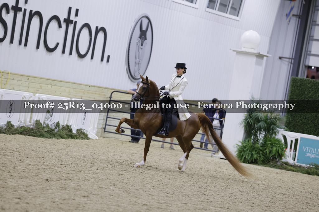 Proof Number 25R13_04000