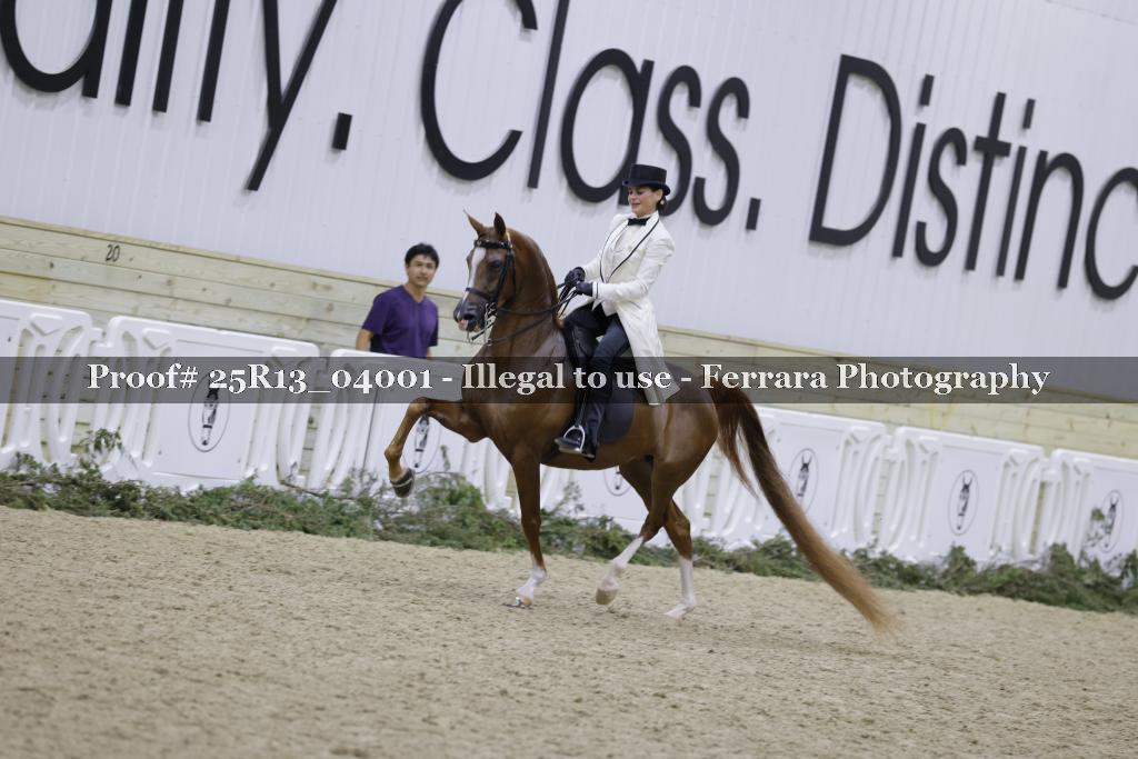 Proof Number 25R13_04001