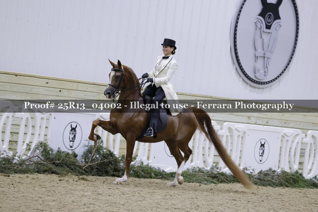 Proof Number 25R13_04002