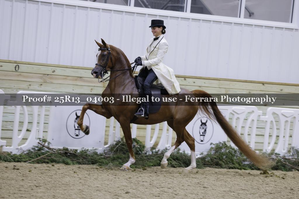Proof Number 25R13_04003