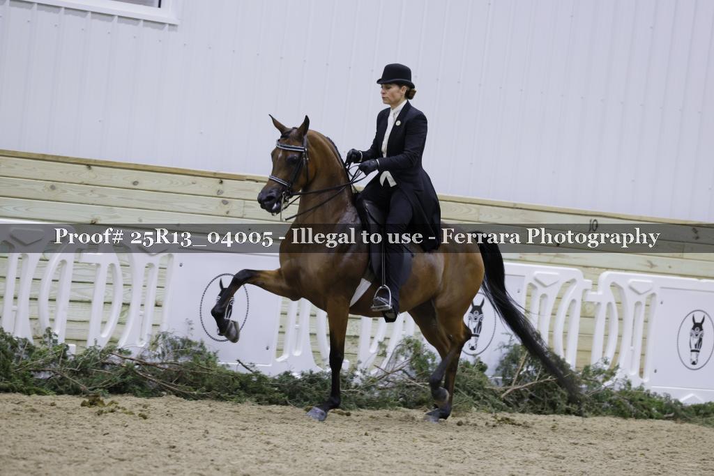 Proof Number 25R13_04005