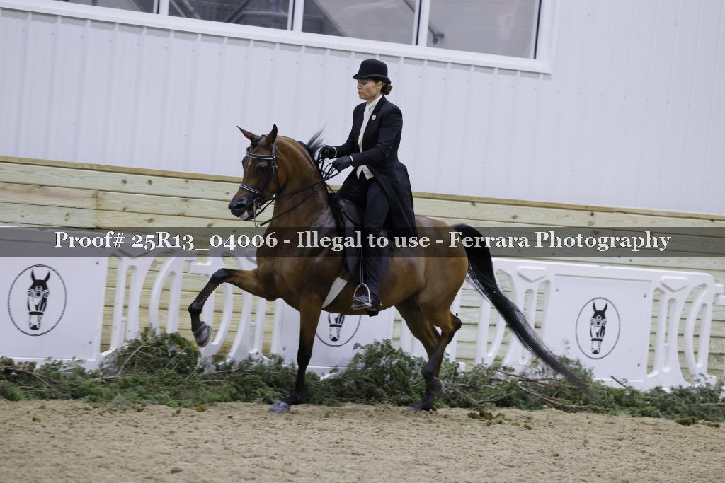 Proof Number 25R13_04006