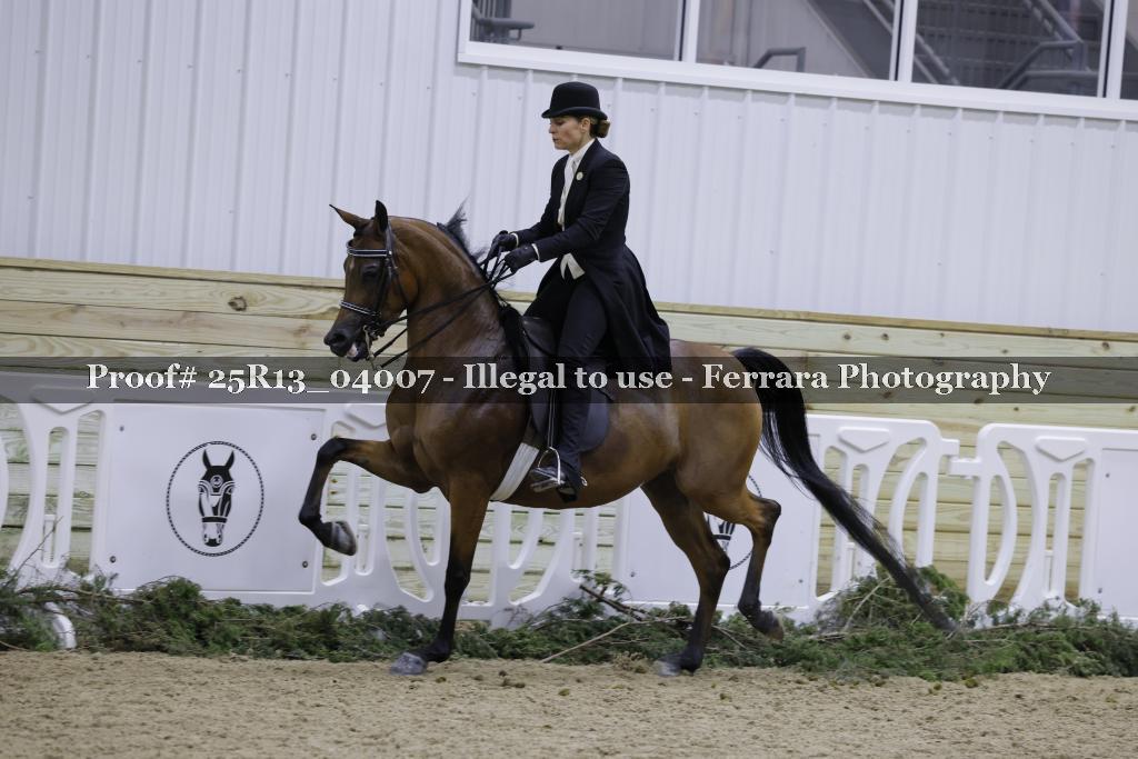 Proof Number 25R13_04007