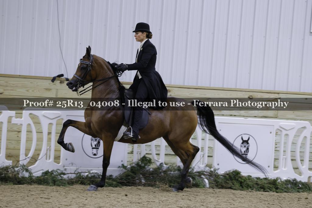 Proof Number 25R13_04008