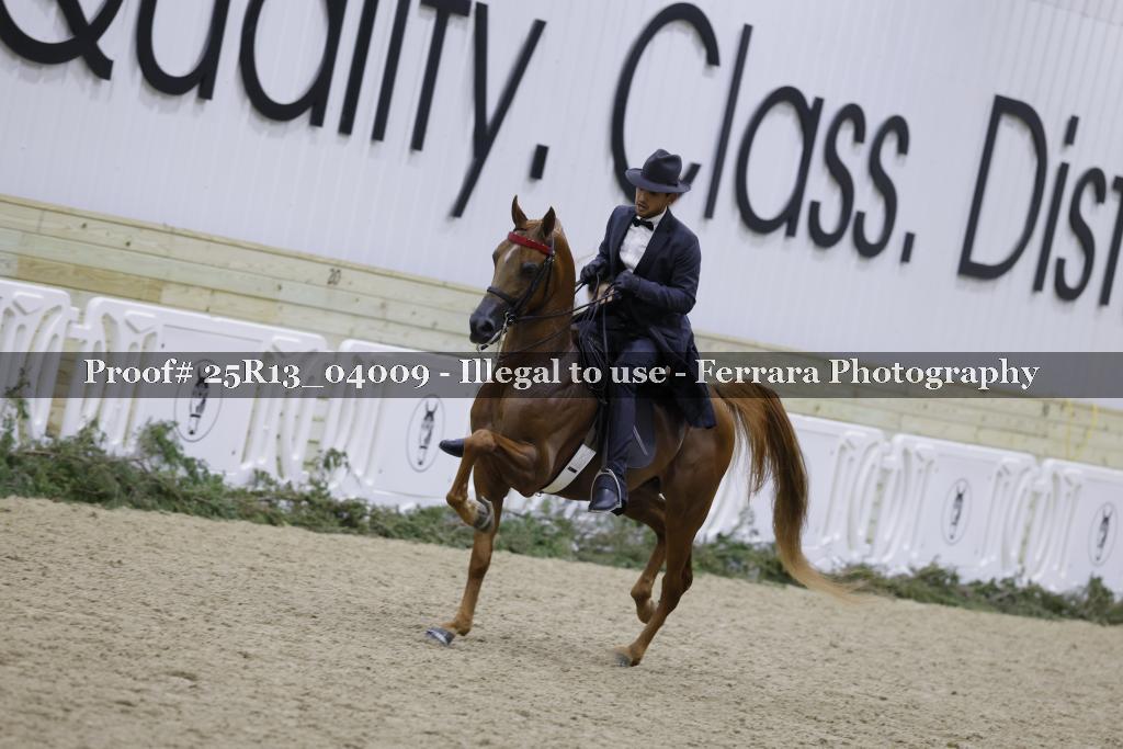 Proof Number 25R13_04009