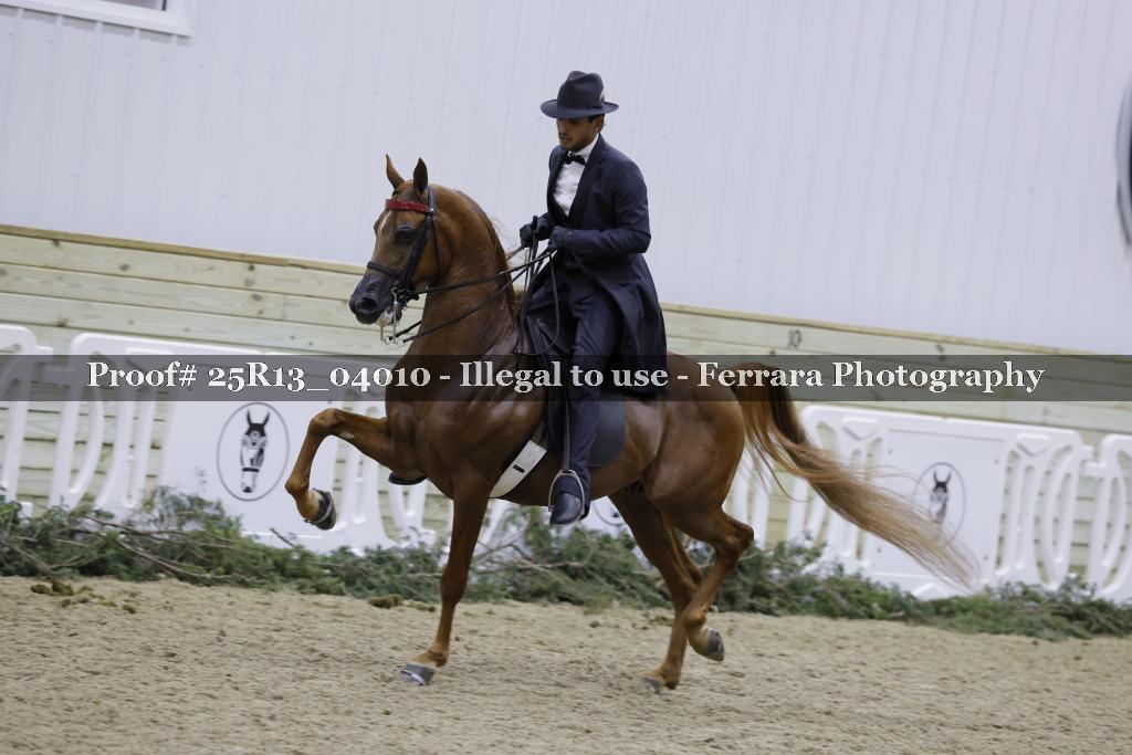 Proof Number 25R13_04010