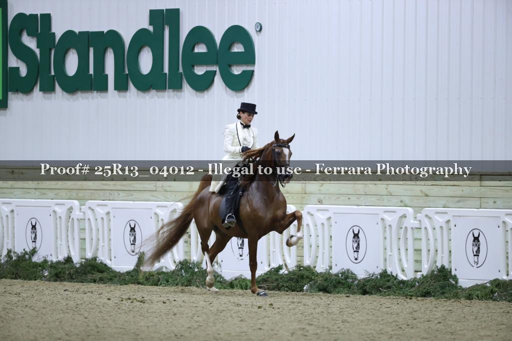 Proof Number 25R13_04012