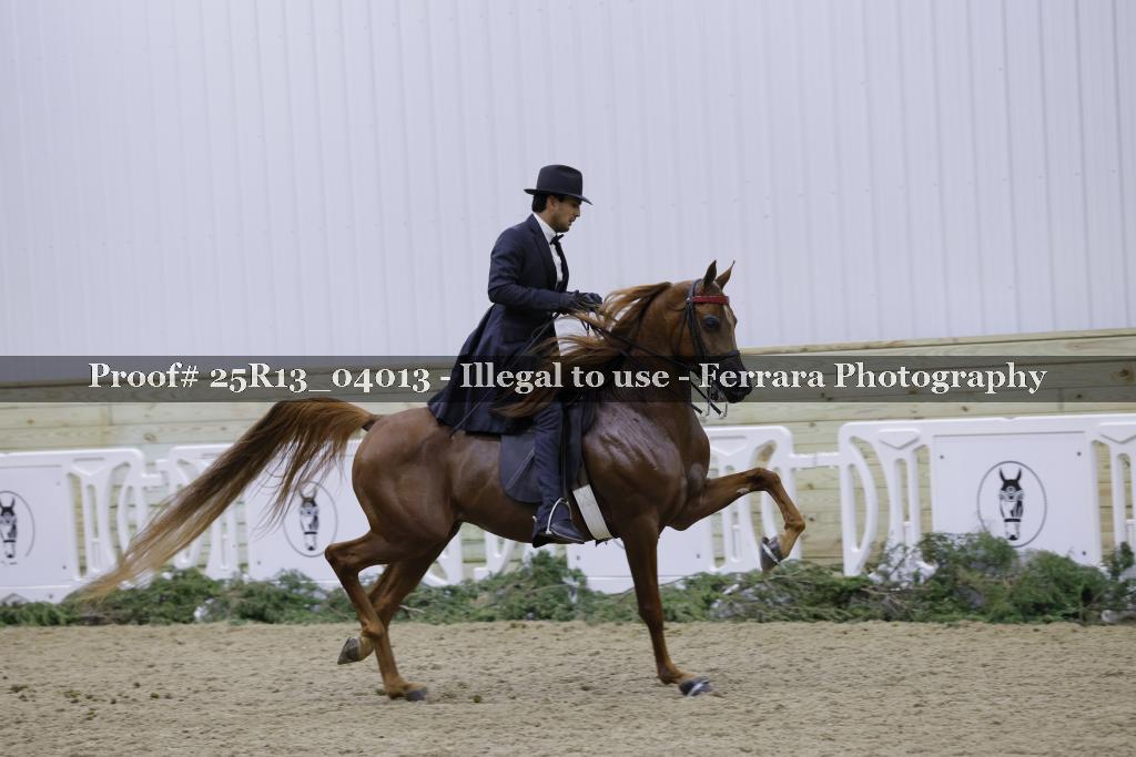 Proof Number 25R13_04013