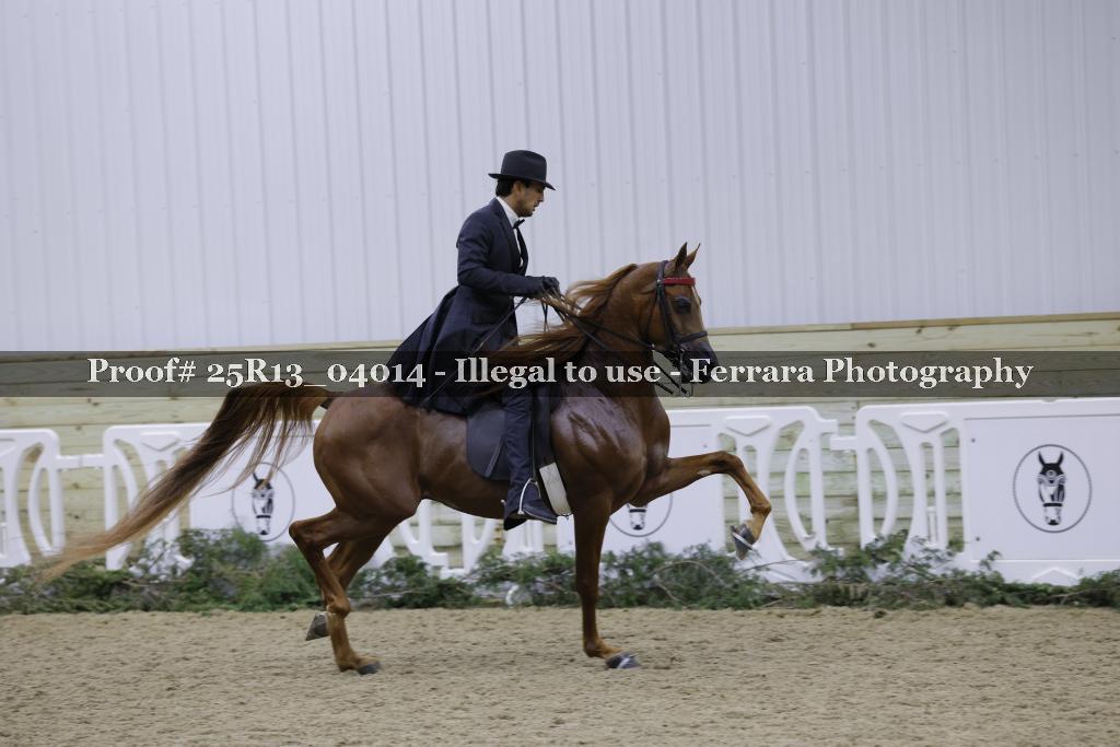 Proof Number 25R13_04014