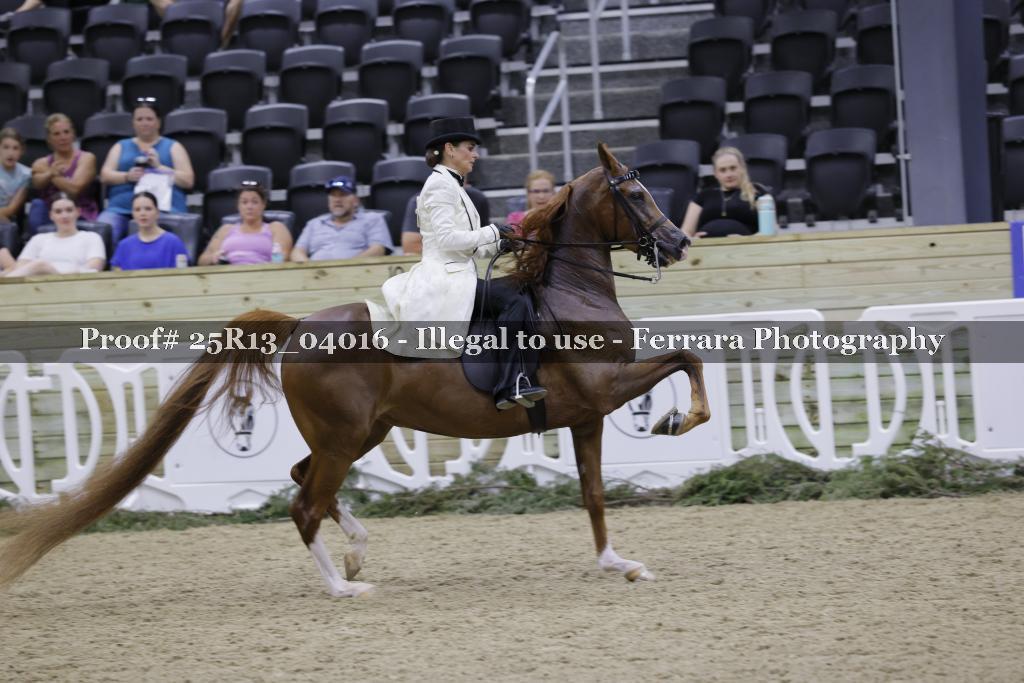 Proof Number 25R13_04016