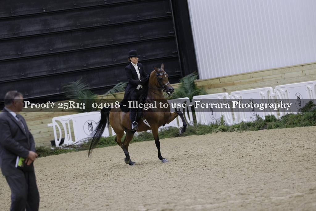 Proof Number 25R13_04018