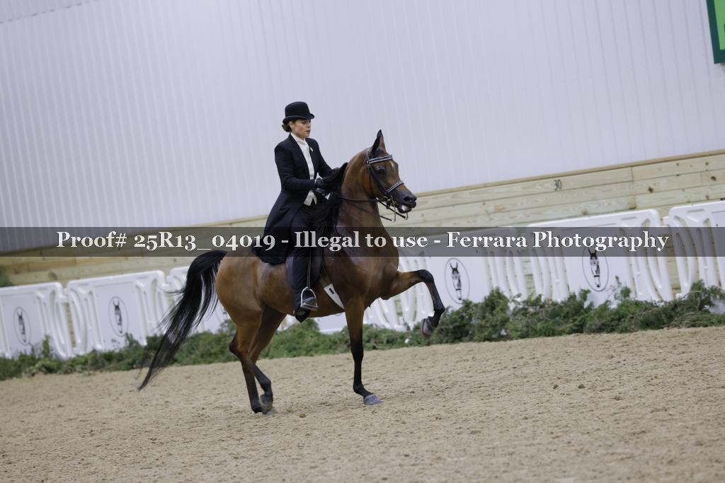 Proof Number 25R13_04019
