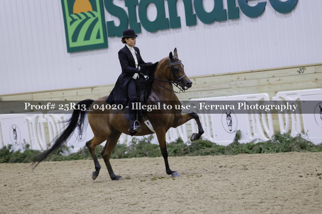 Proof Number 25R13_04020