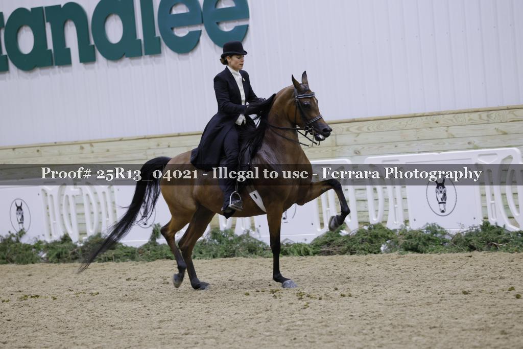 Proof Number 25R13_04021