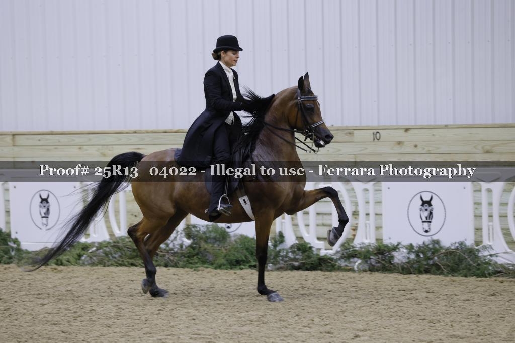 Proof Number 25R13_04022