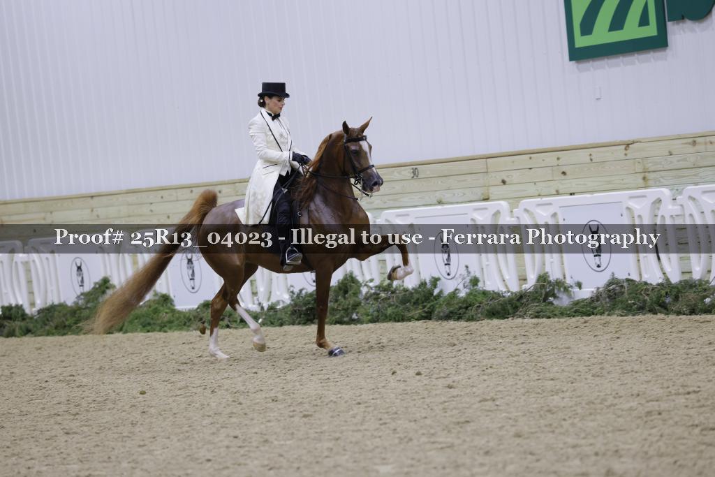 Proof Number 25R13_04023