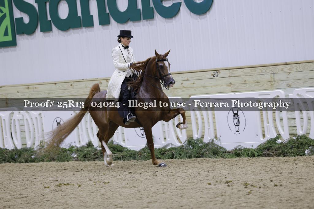 Proof Number 25R13_04024