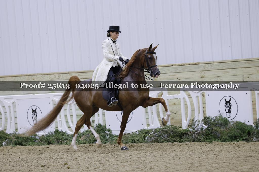Proof Number 25R13_04025