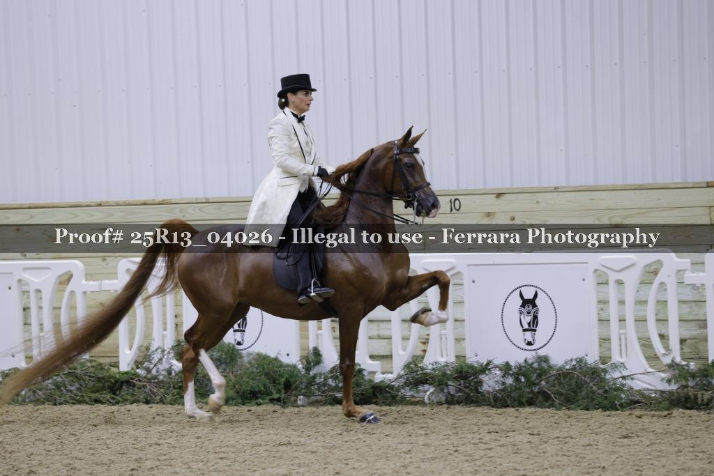 Proof Number 25R13_04026