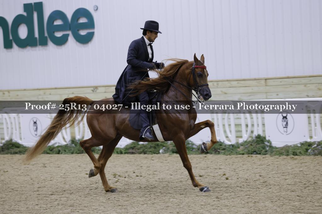 Proof Number 25R13_04027