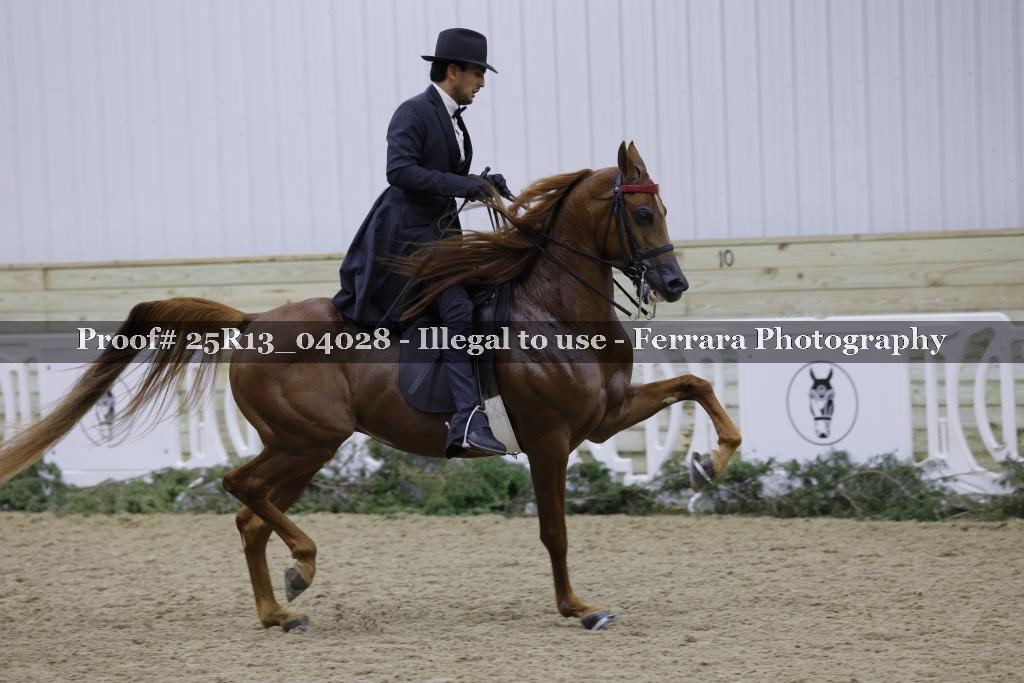 Proof Number 25R13_04028