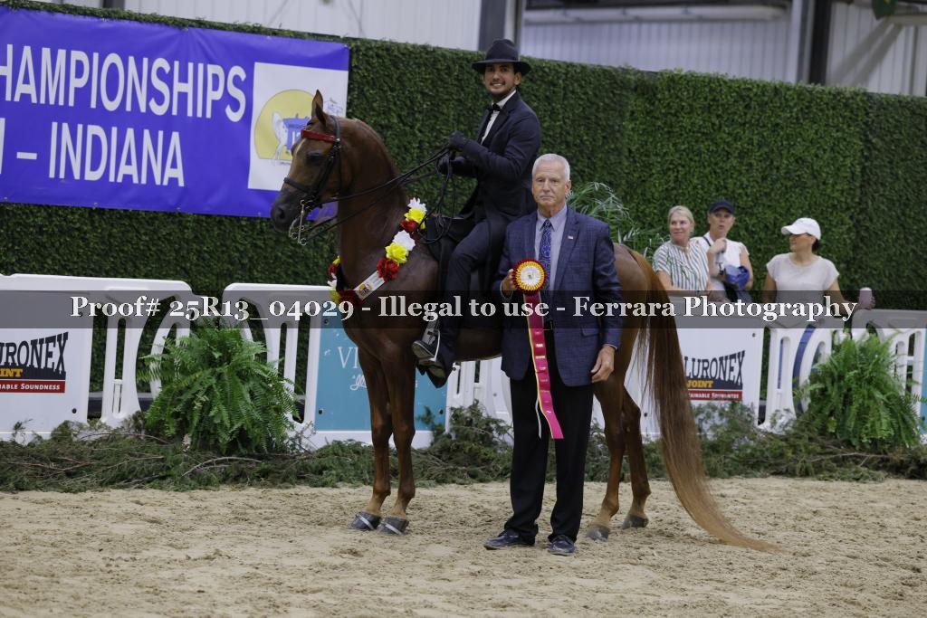 Proof Number 25R13_04029