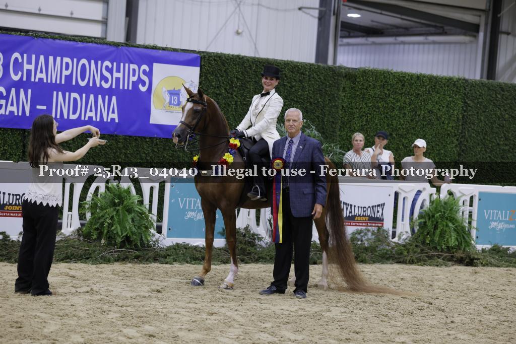 Proof Number 25R13_04040